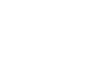 Sanavit